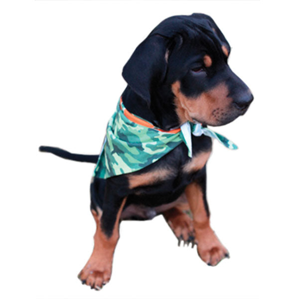 Pet Bandana XL - 34" x 10.5"