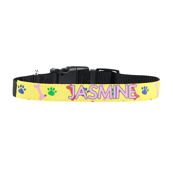 Pet Collar -Small - Adjustable 10" to 12"
