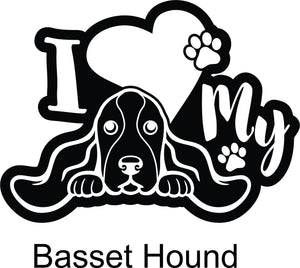 Bassett Hound