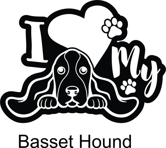 Bassett Hound